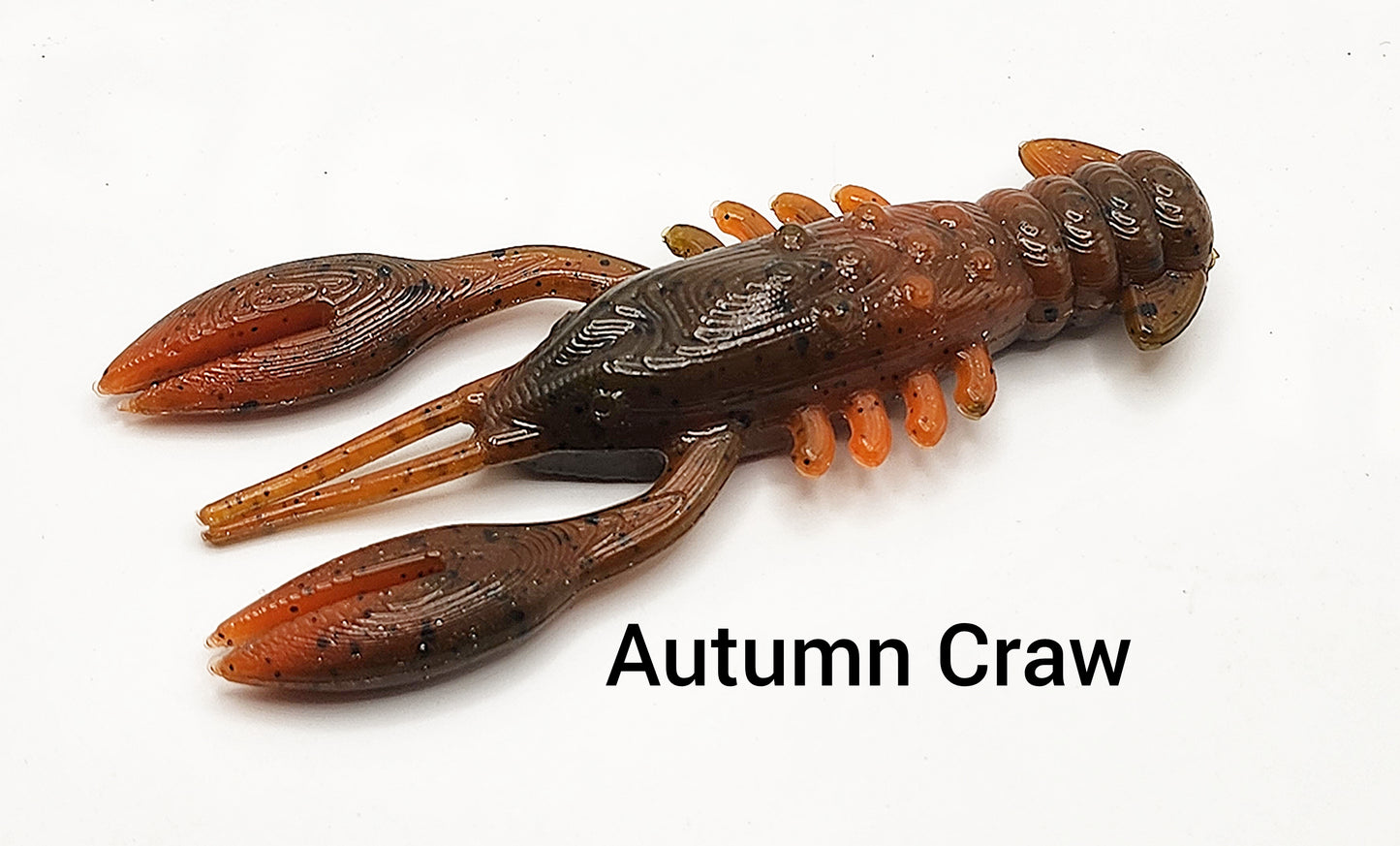 2.5" Ned Craw